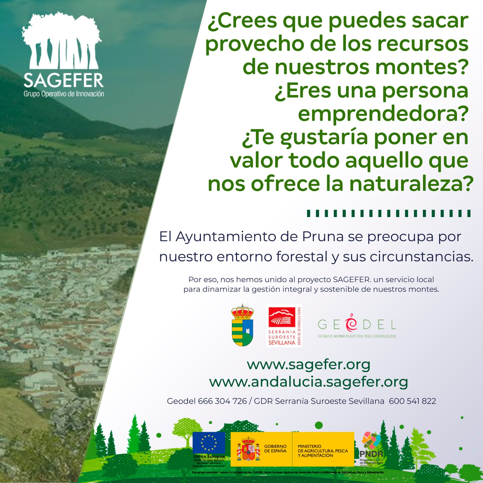 WhatsApp Image 2021-02-15 at 09.26.29