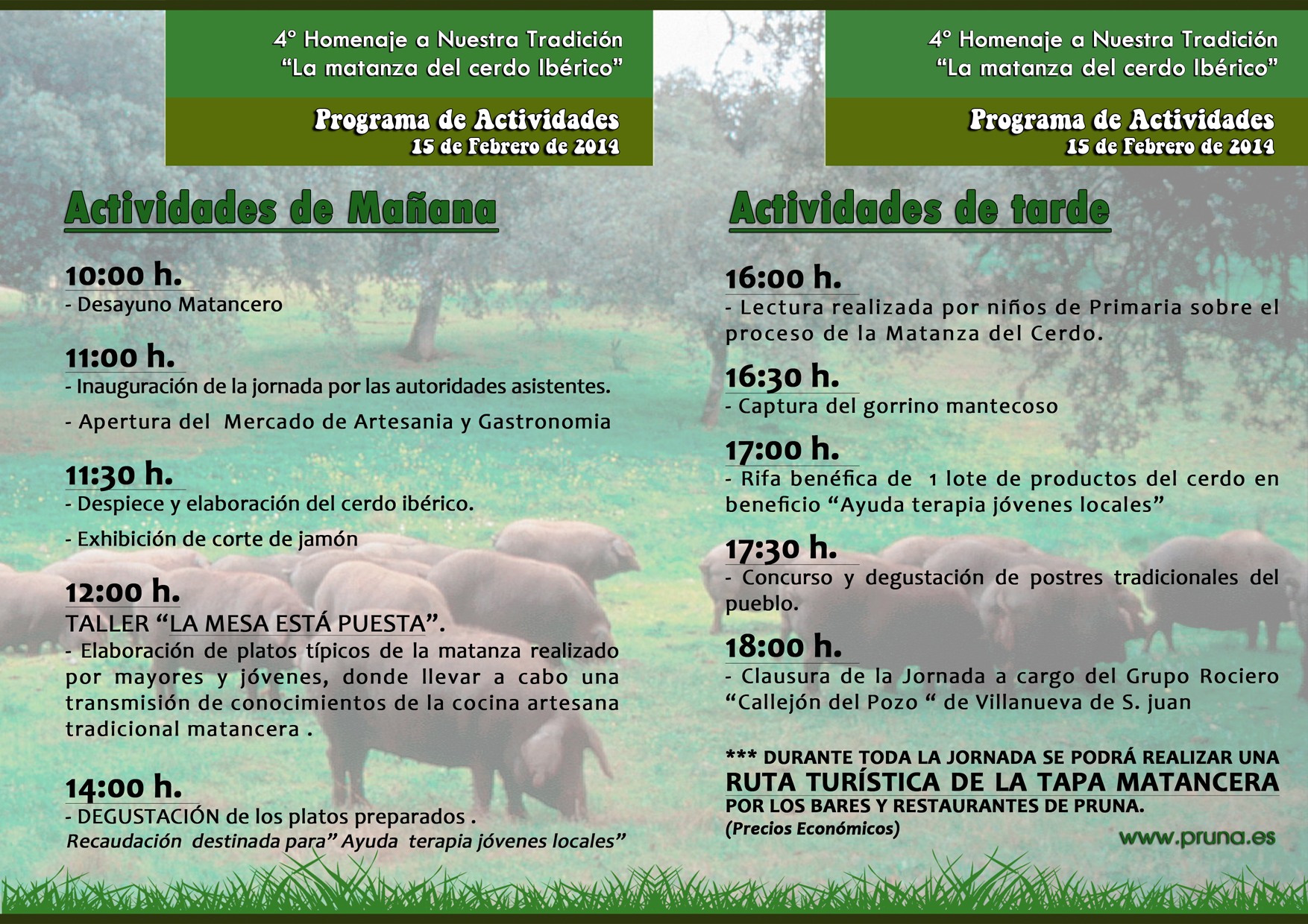 Copia de FINAL diptico cara B