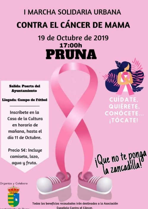 MARCHA SOLIDARIA CÁNCER DE MAMA