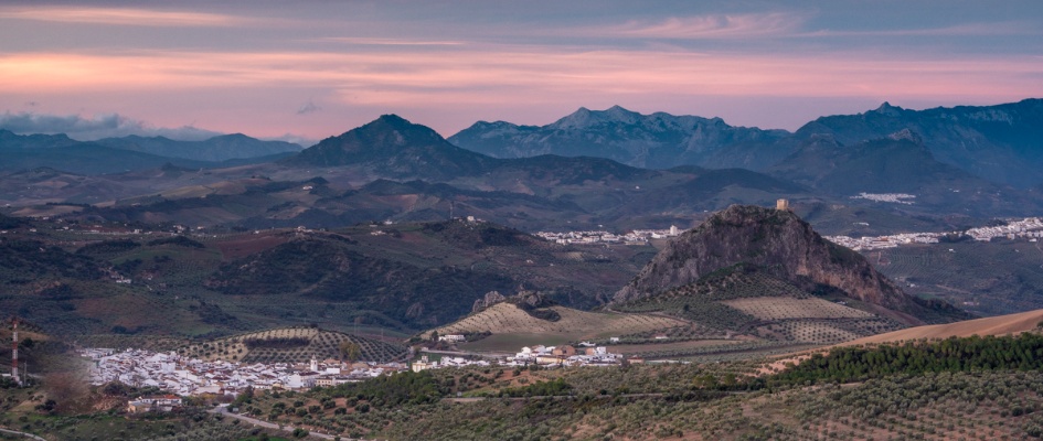 JOSE ANGEL VIDAL- PRUNA-308026