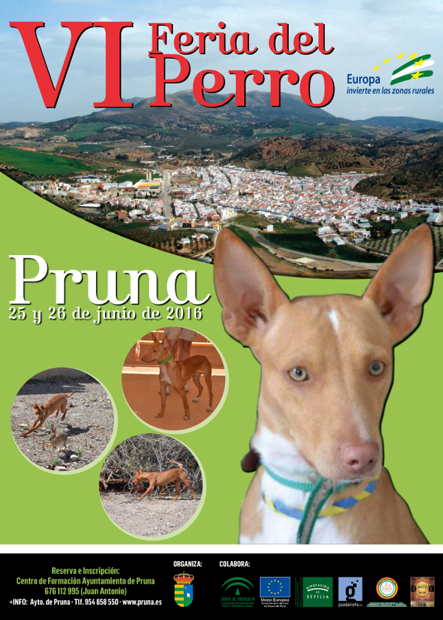 Cartel Feria del Perro redu