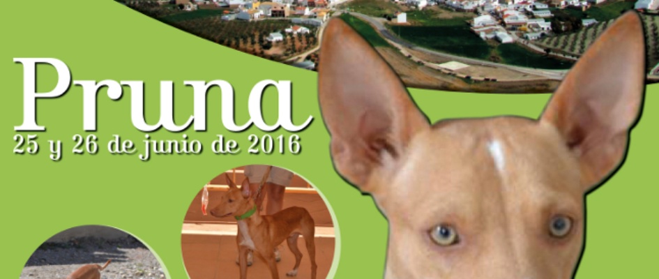 Cartel_Feria_del_Perro_redu.jpg