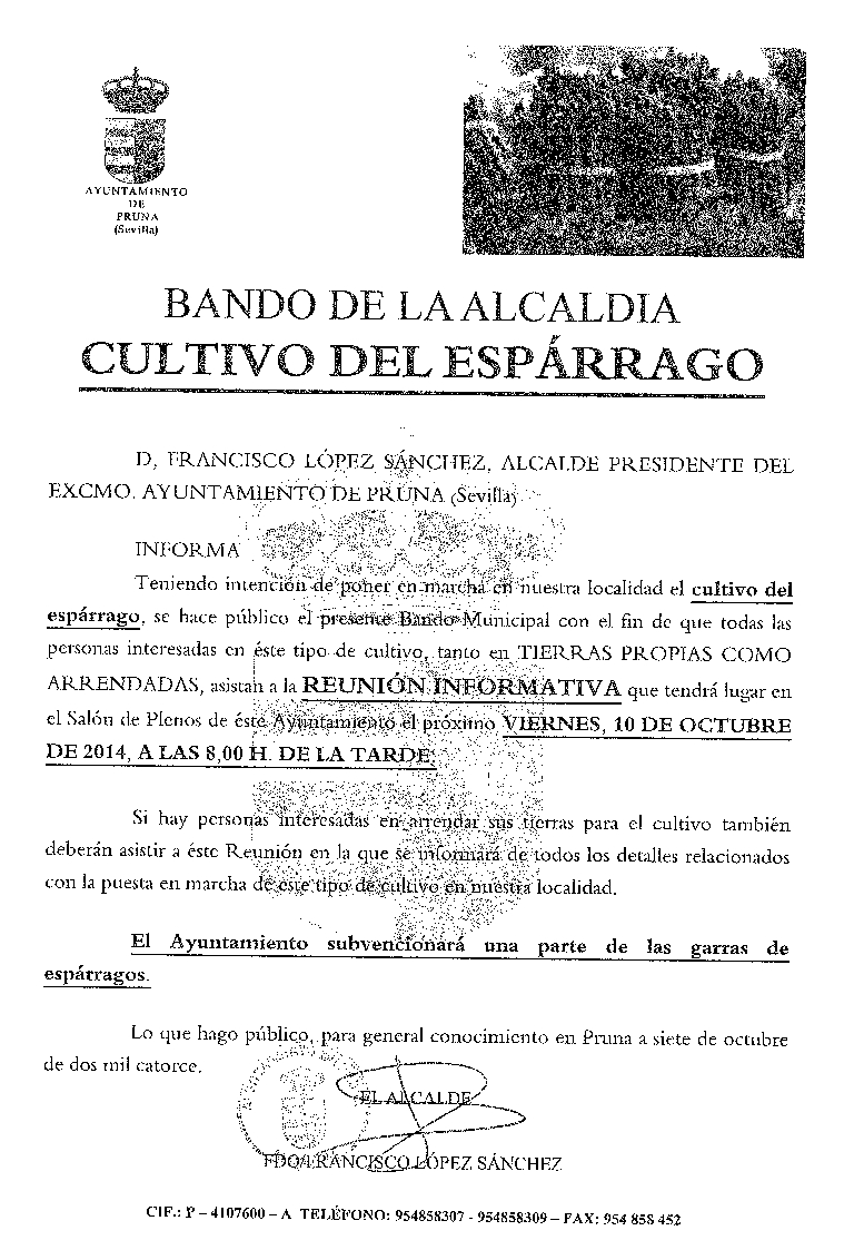 cultivode esparragos