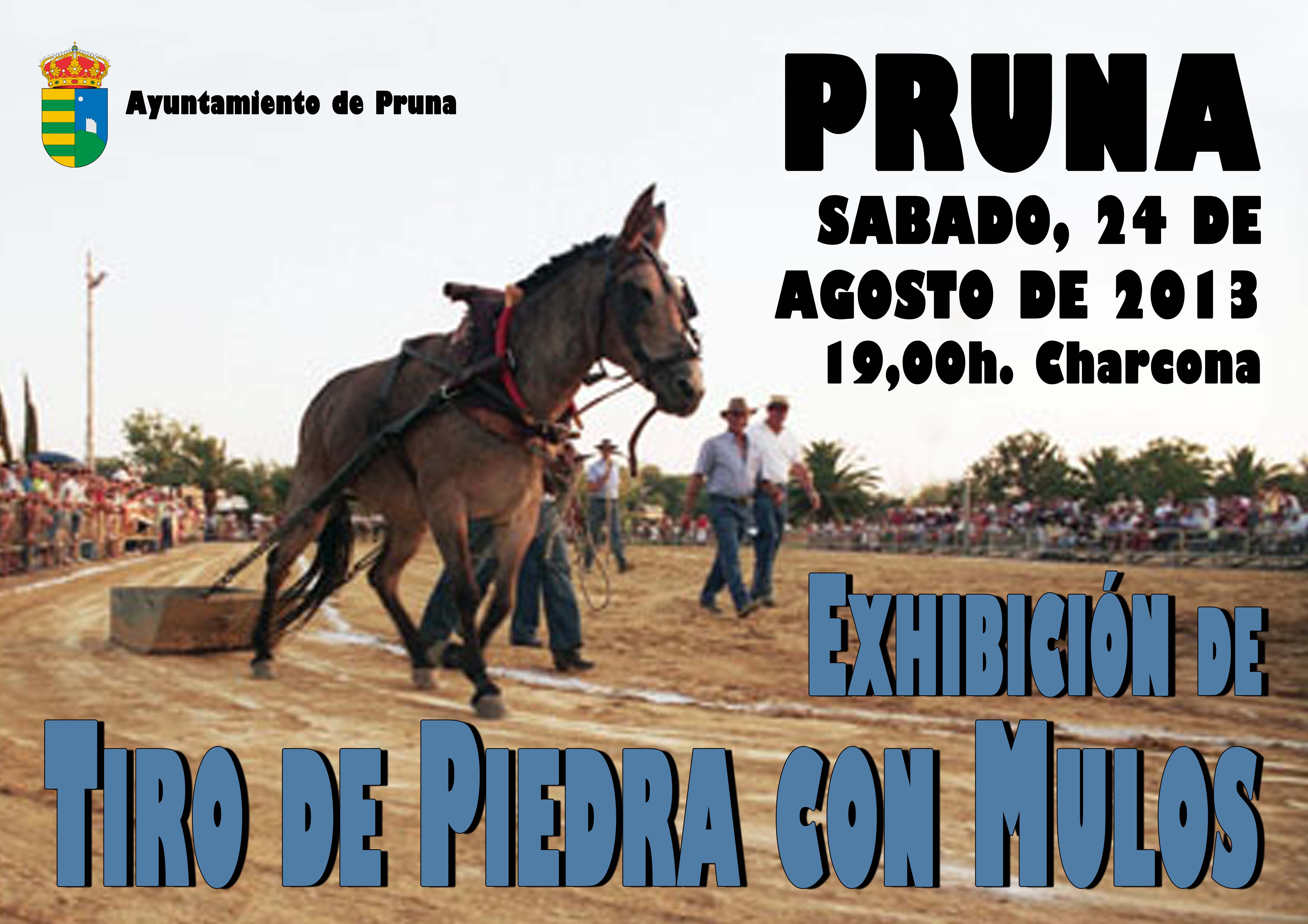 exhibicion de tiro de piedra con mulos